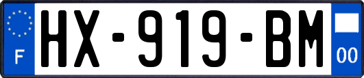 HX-919-BM