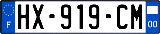 HX-919-CM