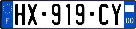 HX-919-CY