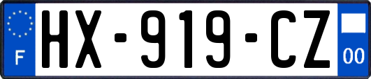 HX-919-CZ