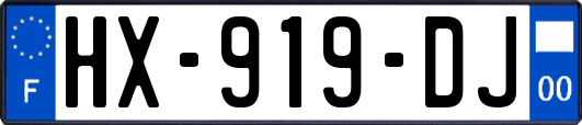 HX-919-DJ