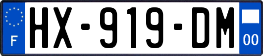 HX-919-DM