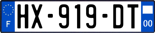 HX-919-DT