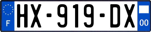 HX-919-DX