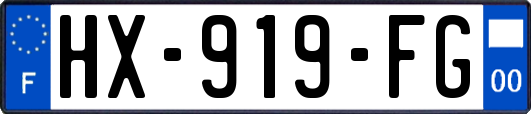 HX-919-FG