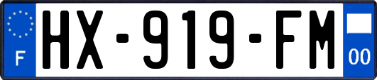 HX-919-FM