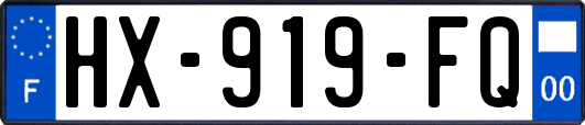 HX-919-FQ