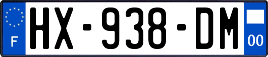 HX-938-DM
