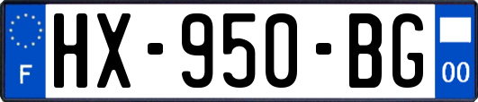 HX-950-BG