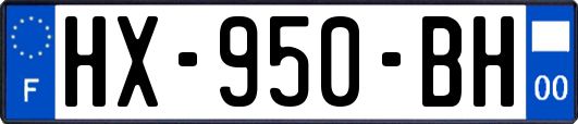 HX-950-BH