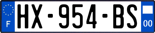 HX-954-BS