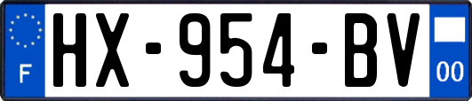 HX-954-BV