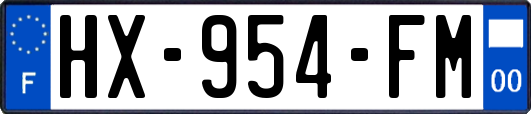 HX-954-FM