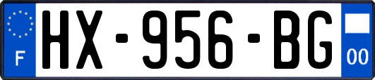 HX-956-BG