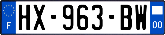 HX-963-BW
