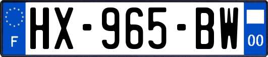 HX-965-BW