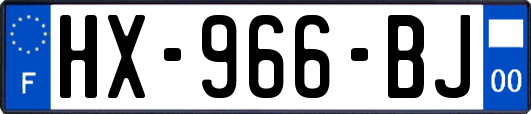 HX-966-BJ