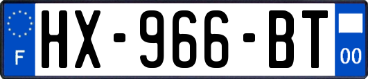 HX-966-BT