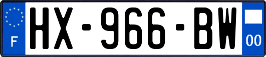HX-966-BW