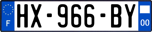 HX-966-BY