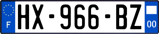 HX-966-BZ