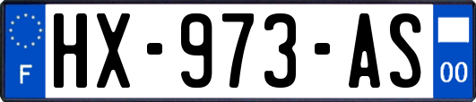 HX-973-AS