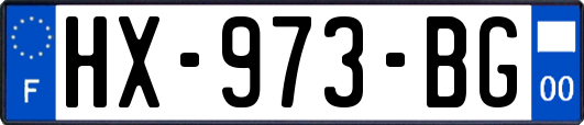 HX-973-BG