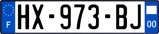 HX-973-BJ