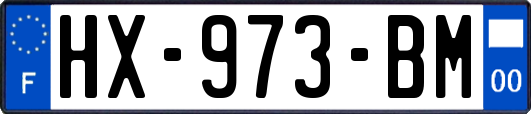 HX-973-BM