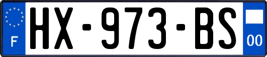 HX-973-BS