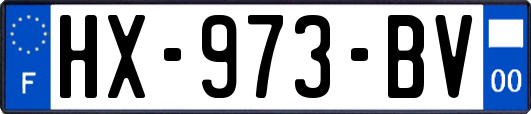 HX-973-BV