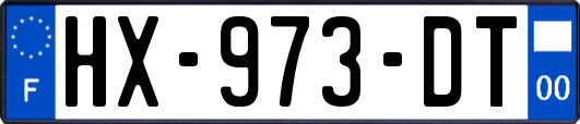 HX-973-DT