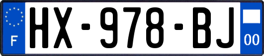 HX-978-BJ