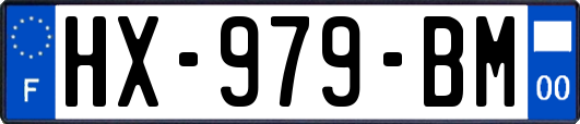 HX-979-BM