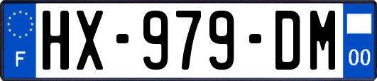 HX-979-DM