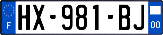 HX-981-BJ