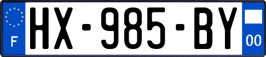 HX-985-BY