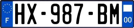 HX-987-BM