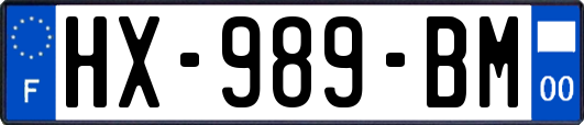 HX-989-BM