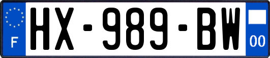 HX-989-BW