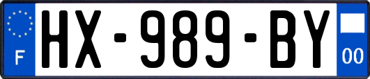 HX-989-BY