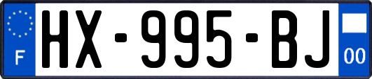 HX-995-BJ