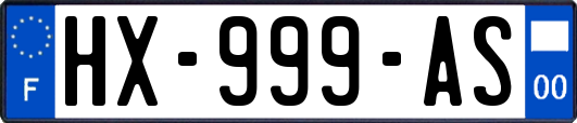 HX-999-AS