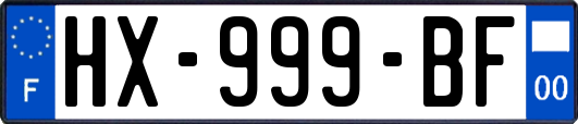 HX-999-BF