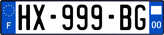 HX-999-BG
