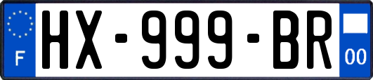 HX-999-BR