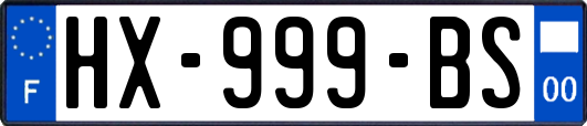 HX-999-BS