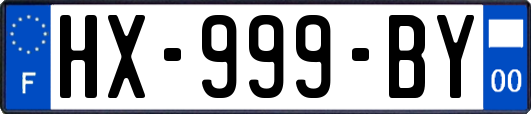 HX-999-BY