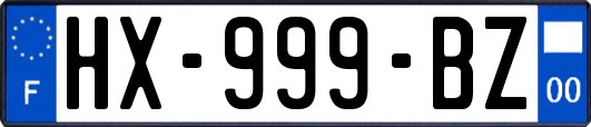 HX-999-BZ
