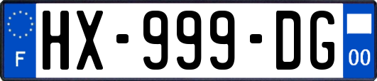 HX-999-DG